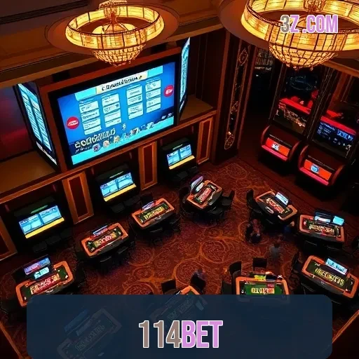 114bet Termos de Uso